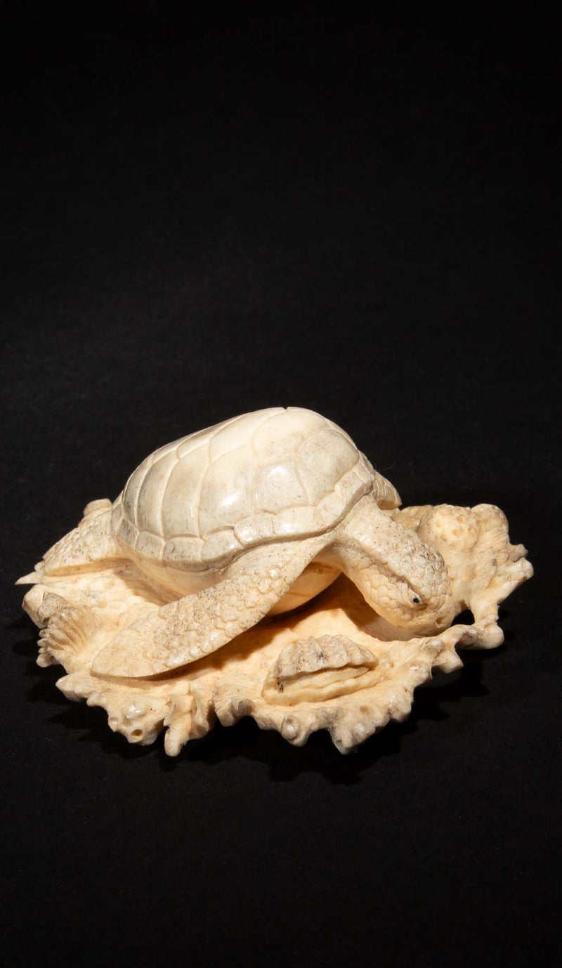 Hand Carved Moose Antler Turtle on a Bed of Coral, 3.25"