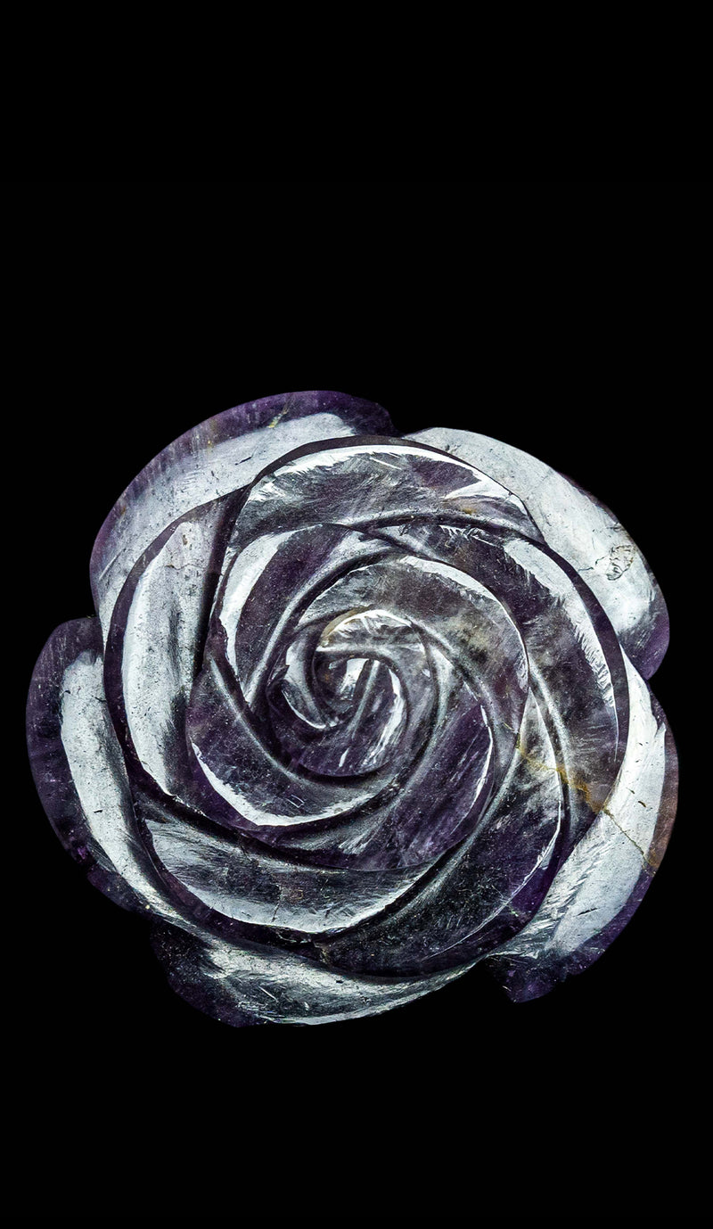Amethyst Camellia