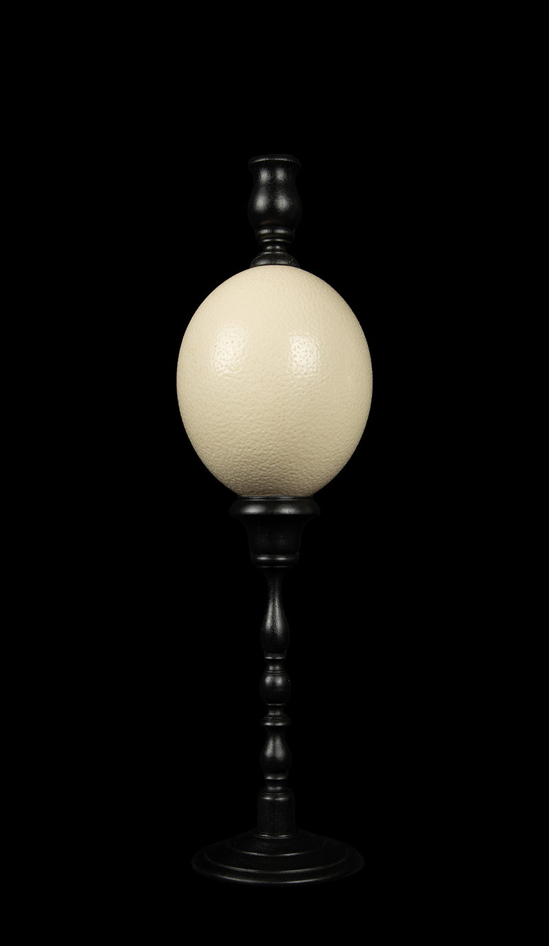 Mounted Ostrich Egg Candle Stick, 19" H