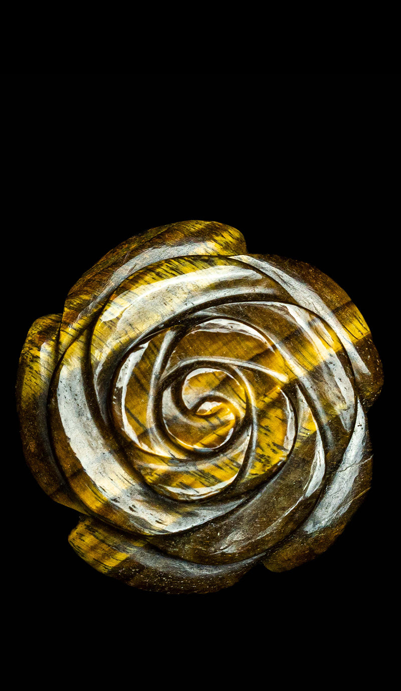 Tiger's Eye Camellia