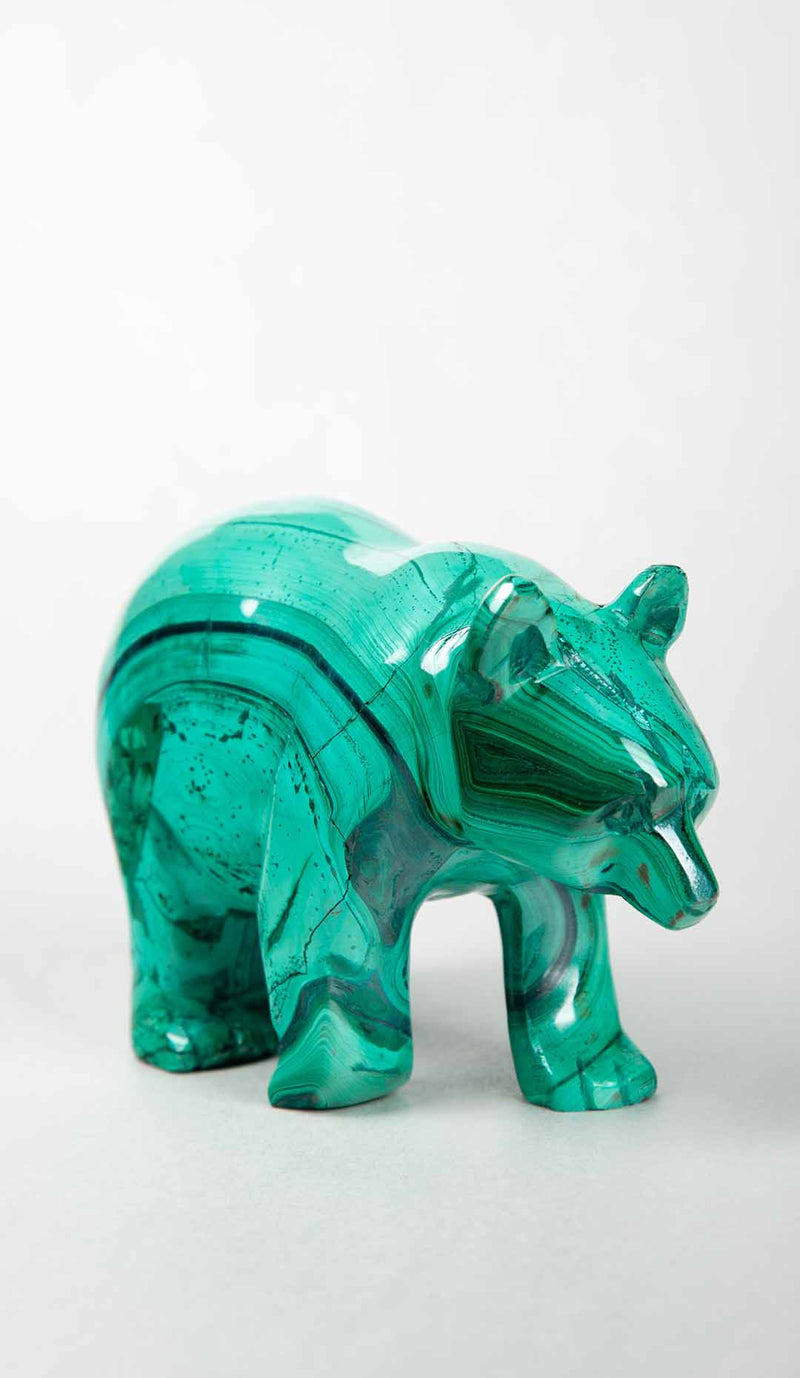 Malachite Bear