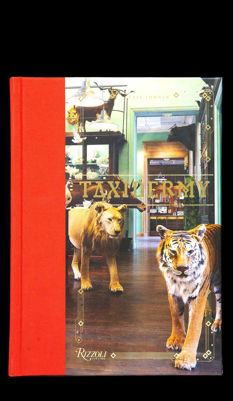 Alexis Turner: Taxidermy (Hardcover)