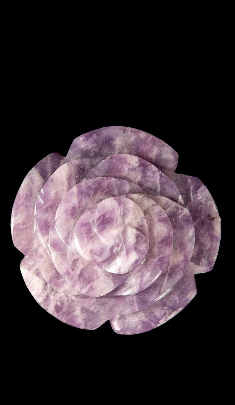 Amethyst Camellia