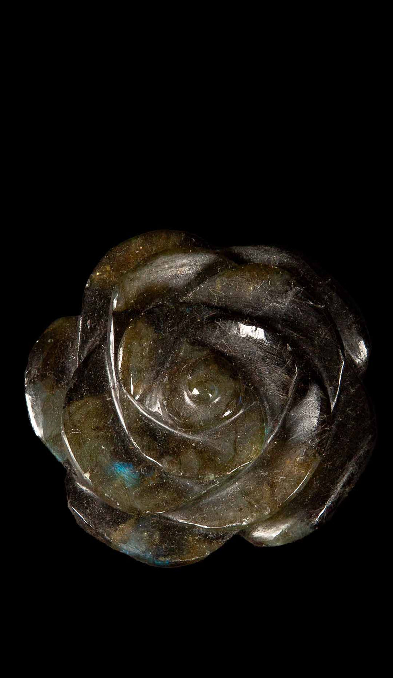 Labradorite Camellia