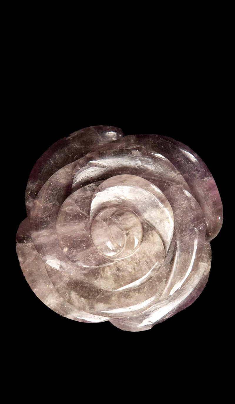 Amethyst Camellia