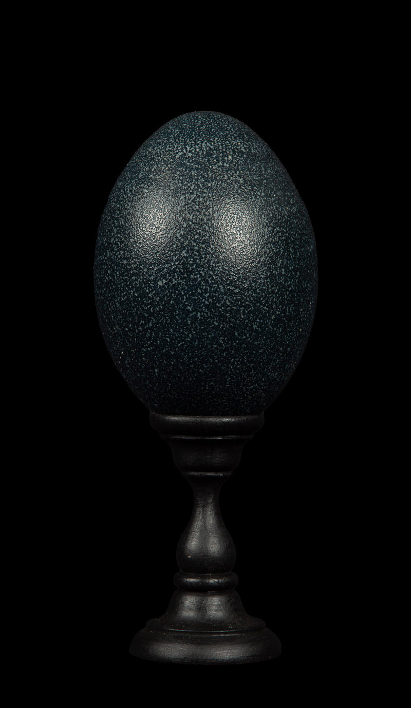 Mounted Emu Egg, Small, 8.5" H