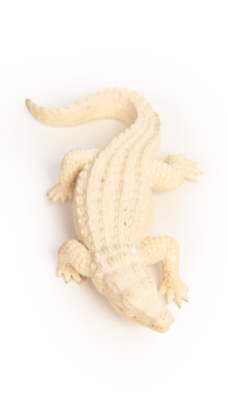 Moose Antler Alligator – Wildly Cool, Naturally Kind
