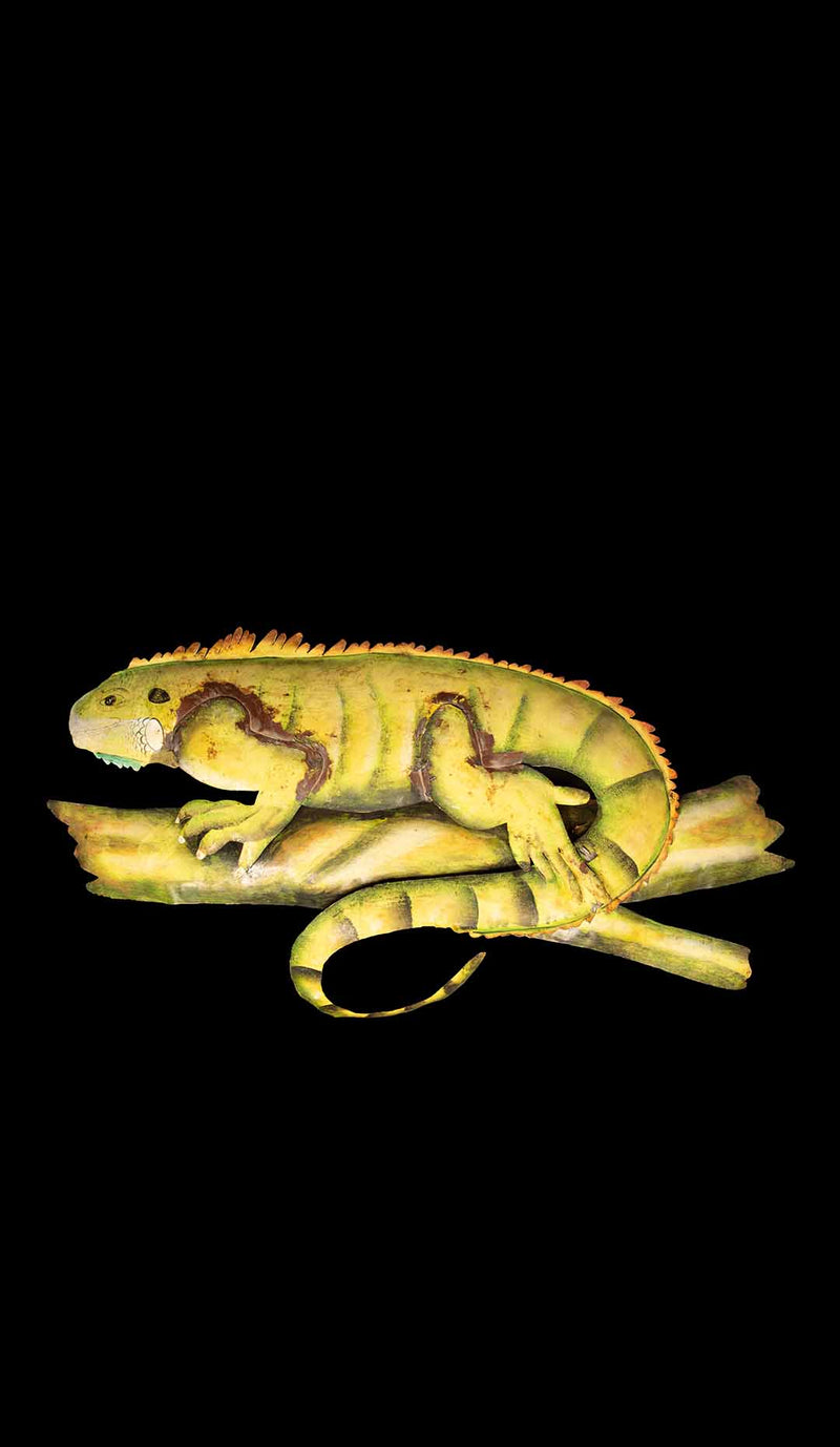 Early 20th Century Painted Metal Lizard