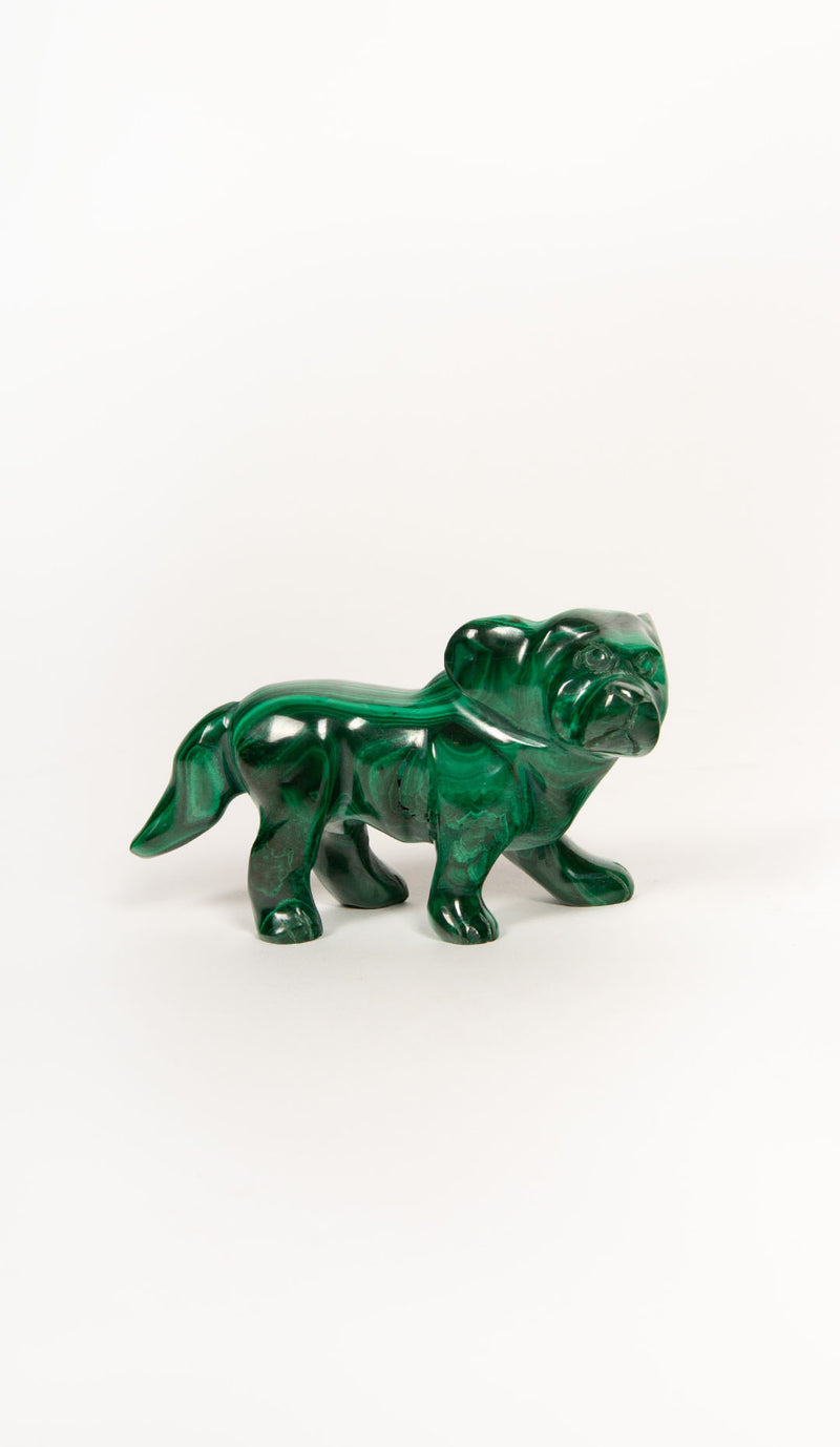 Malachite Dog