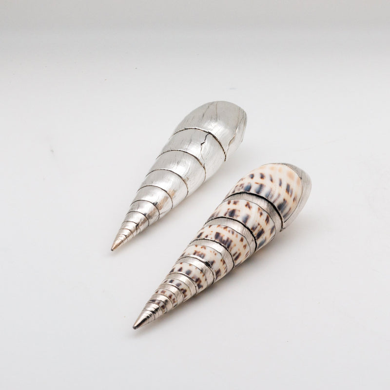 Silvered Marlinspike Shell
