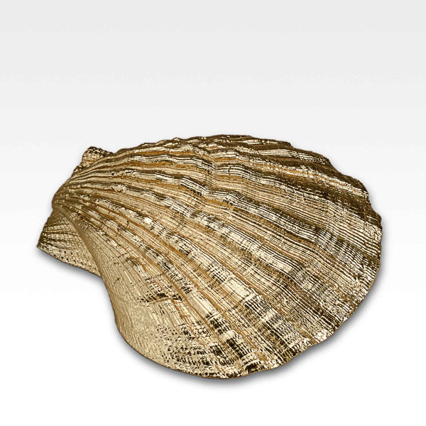 Gilded Pecten Shell
