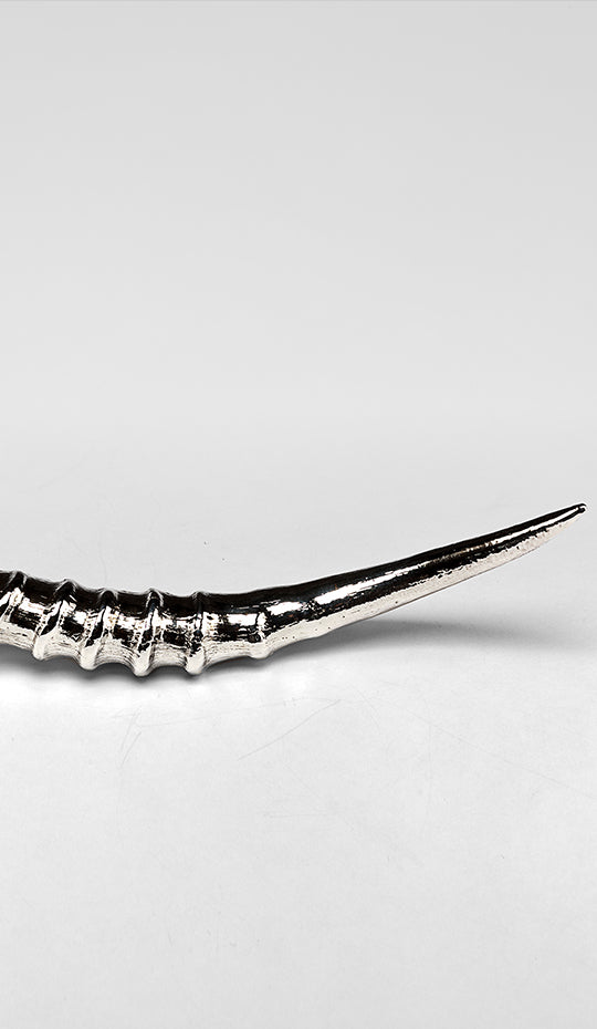 Silvered Antler/Horn