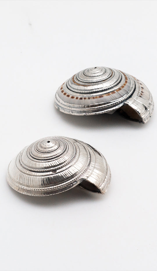 Silvered Architectonica Shell