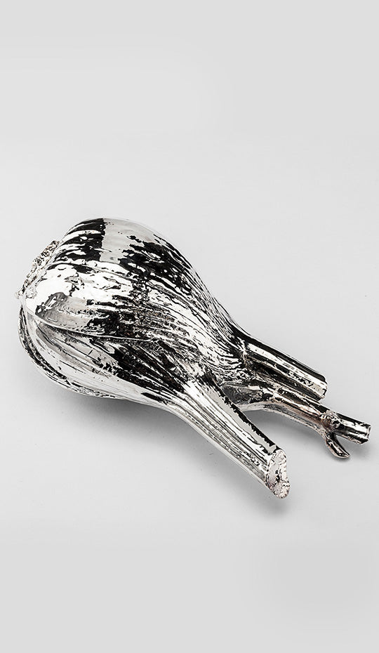Silver Fennel