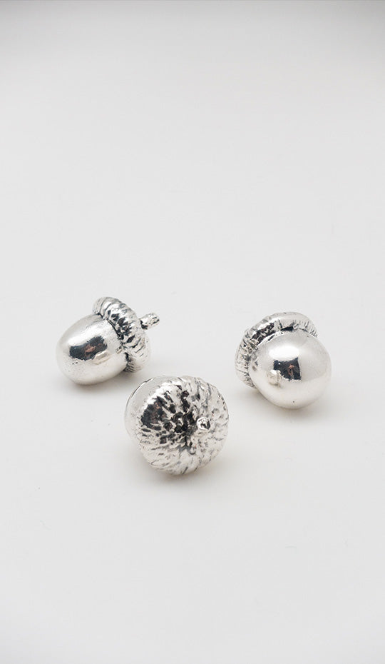 Silver Acorn