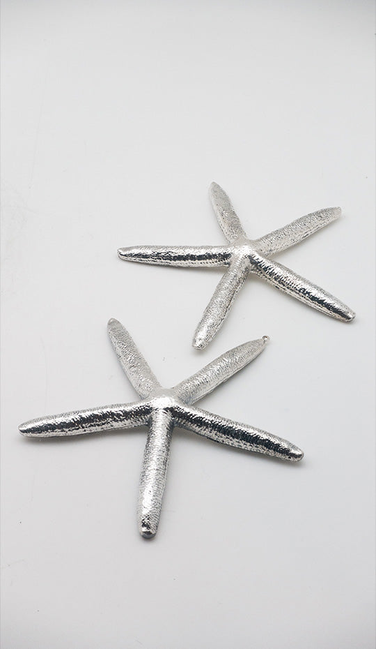 Silver Starfish Edmund
