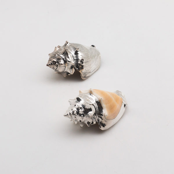 Silver Strombus Pugilis Shell