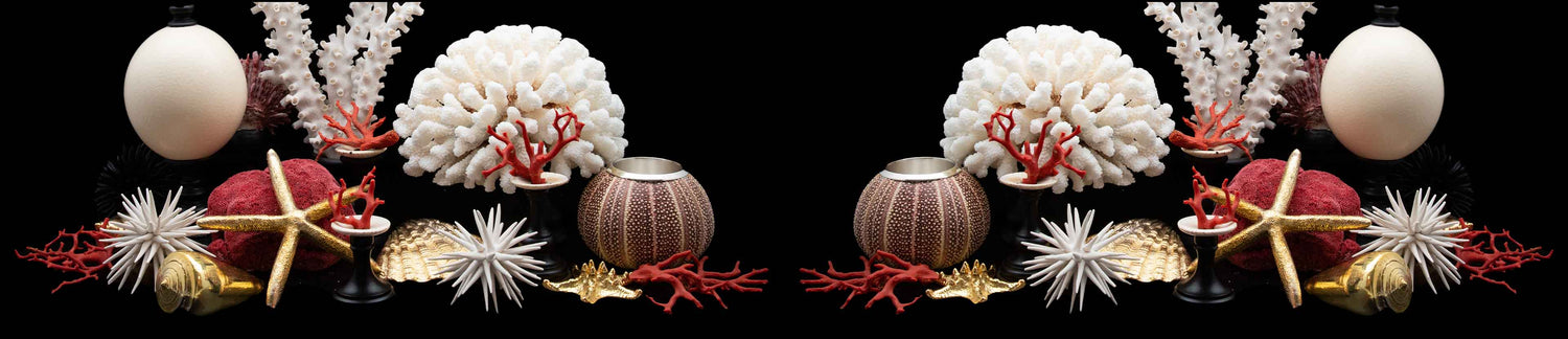 Coral