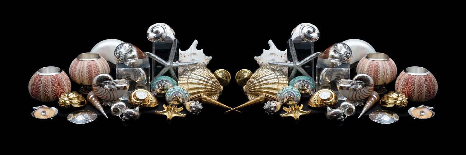 Silvered Shells