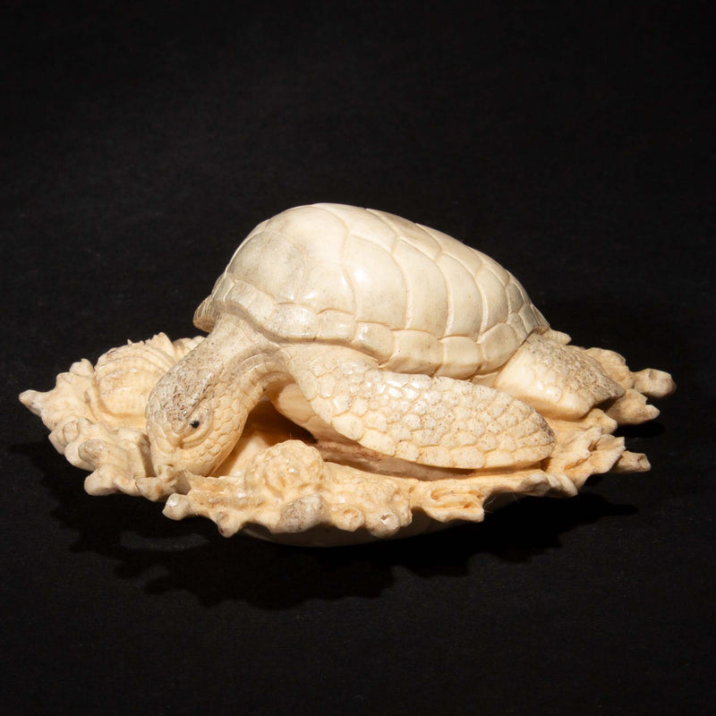 Hand Carved Moose Antler Turtle on a Bed of Coral, 3.25"