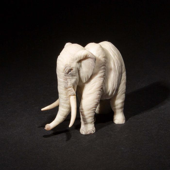 Hand Carved Moose Antler Elephant, 3"