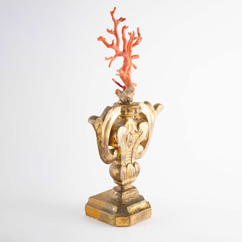 Treasures of the Sea: Large Mounted Mediterranean Coral on an Antique Gilt Base
