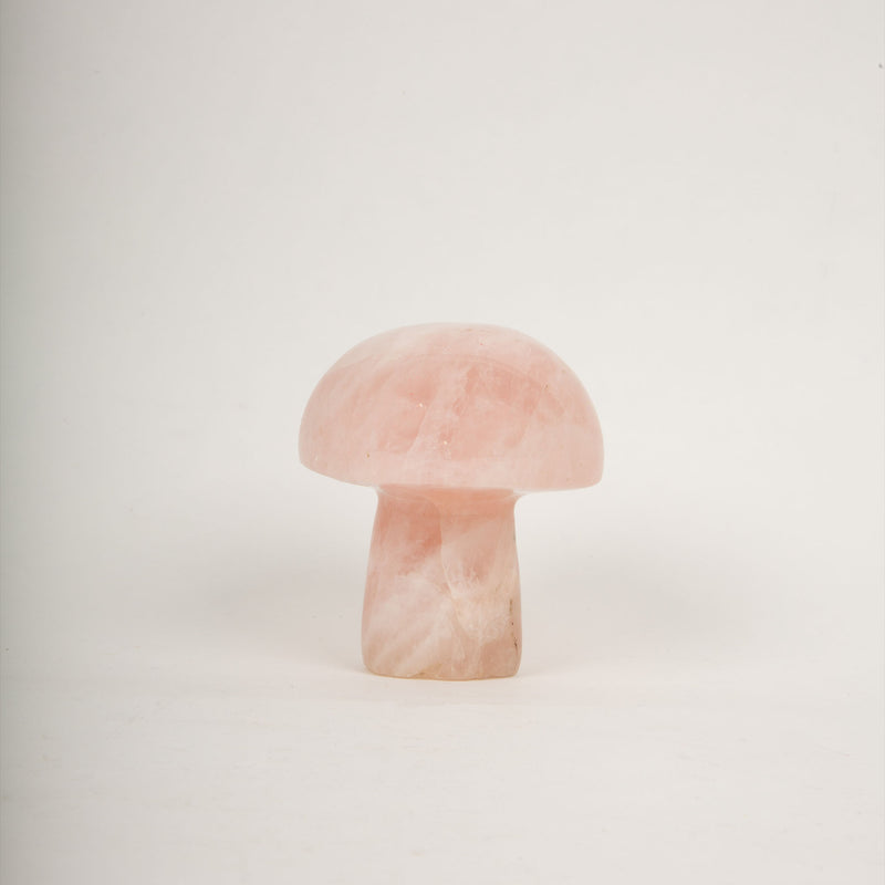 Mineral Mushroom Trio