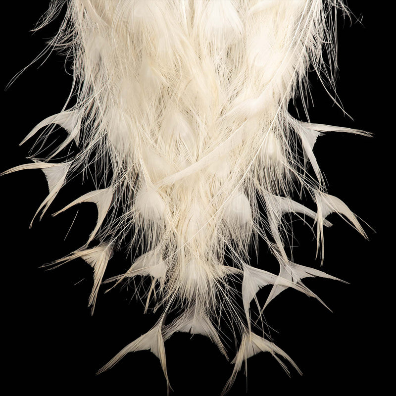 Exquisite Albino Peacock Taxidermy: A Majestic Display of Rarity and Elegance