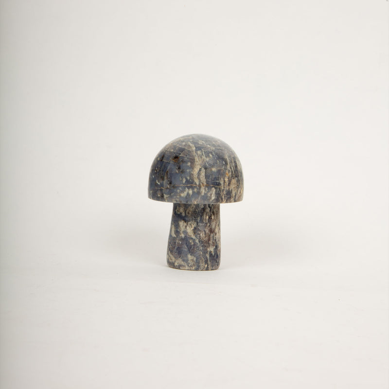 Mineral Mushroom Trio