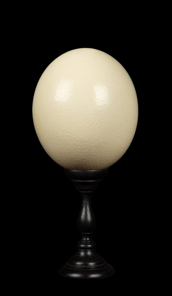 Mounted Ostrich Egg, Small, 10.5" H