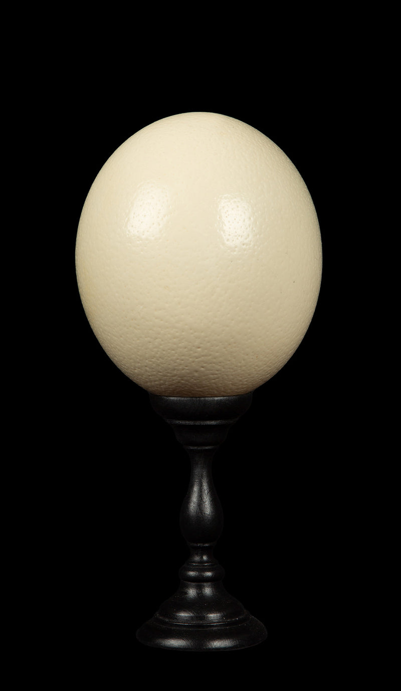 Mounted Ostrich Egg, Small, 10.5" H