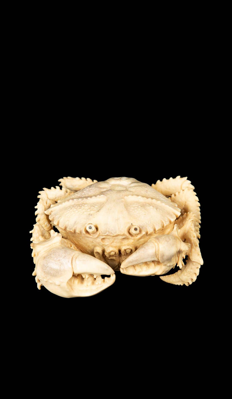 Hand-Carved Moose Antler Crab
