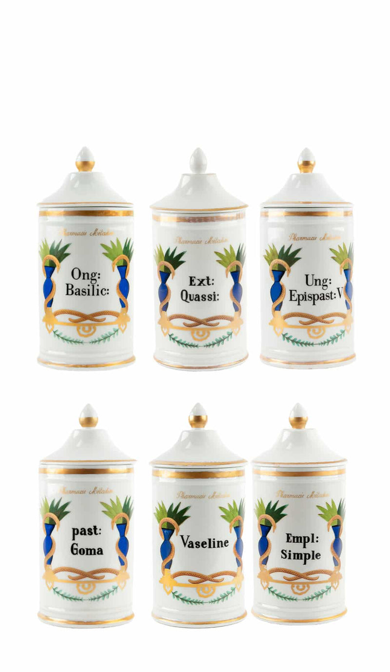 Antique 19th C French Apothecary Jars with Hand-Painted Neoclassical Decoration