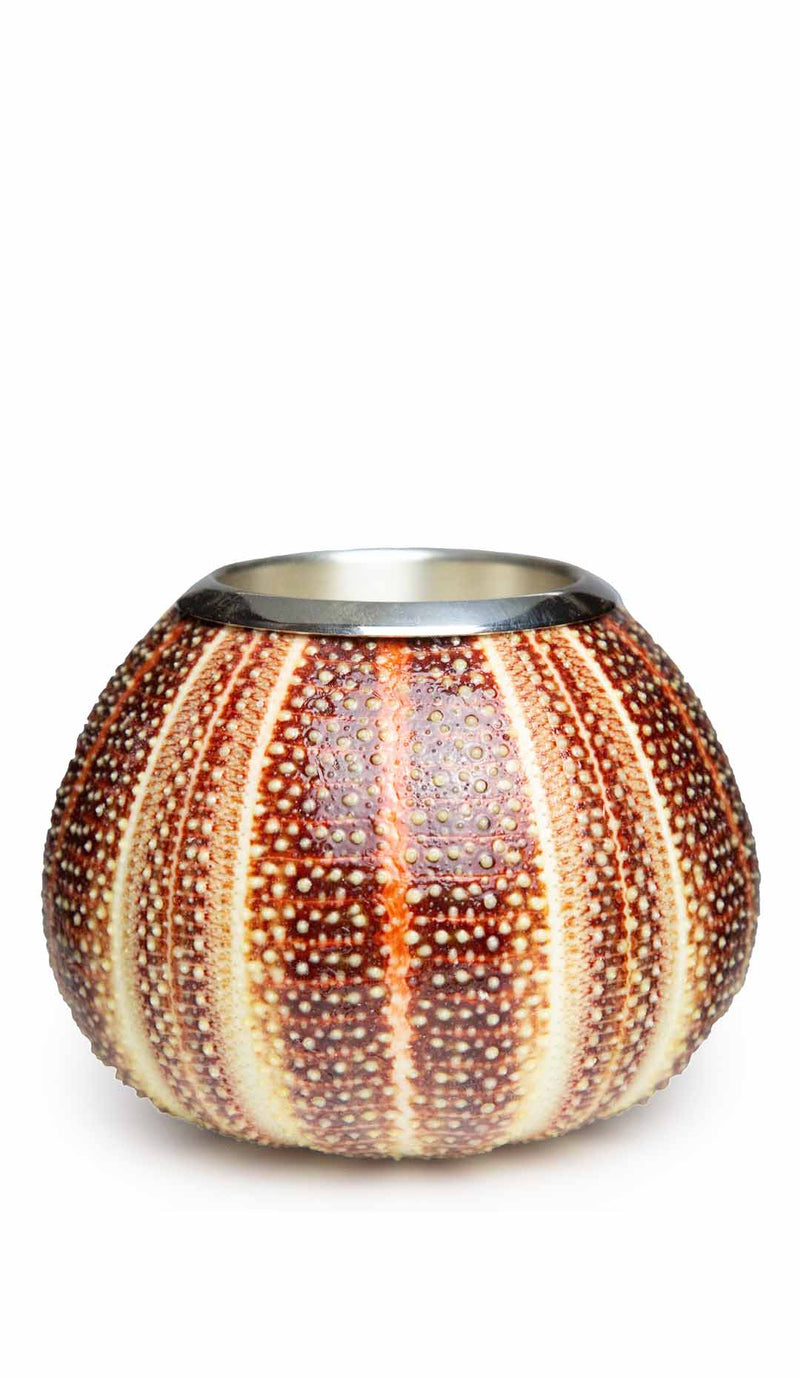 Urchin Matchstick | Pen Holder