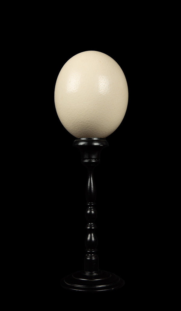 Mounted Ostrich Egg Tall, 15.5" H