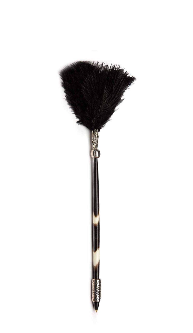 Porcupine Quill Pen W/ Black Feathers