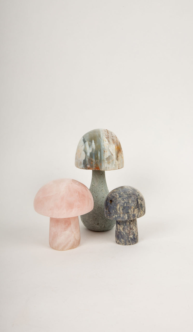 Mineral Mushroom Trio