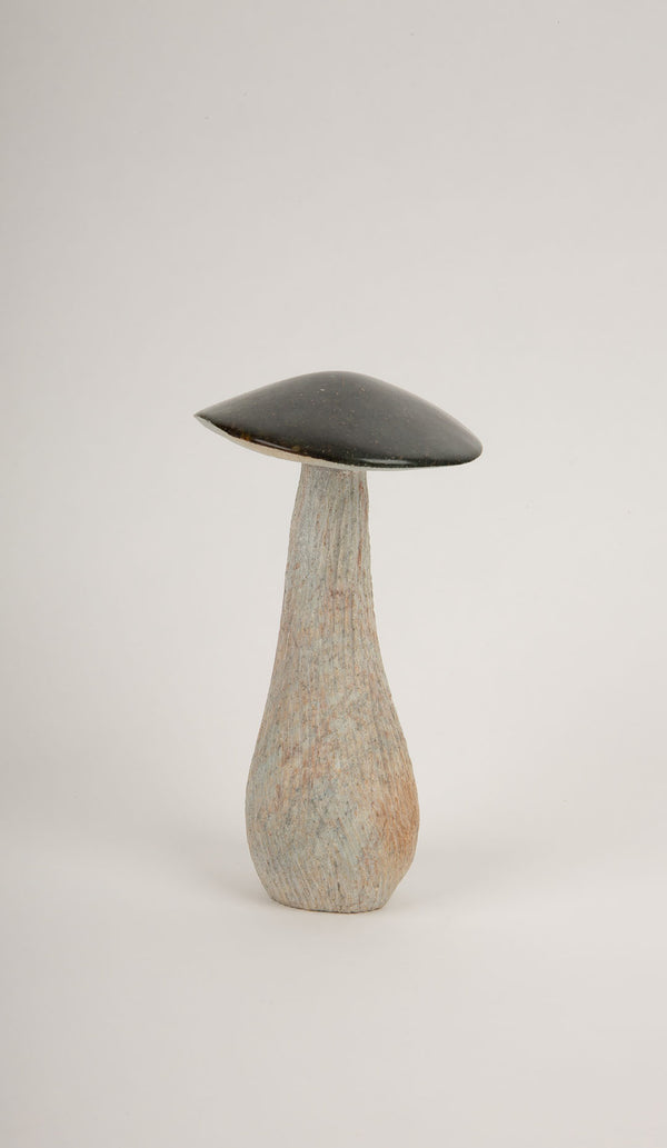 Soap Stone Mushroom