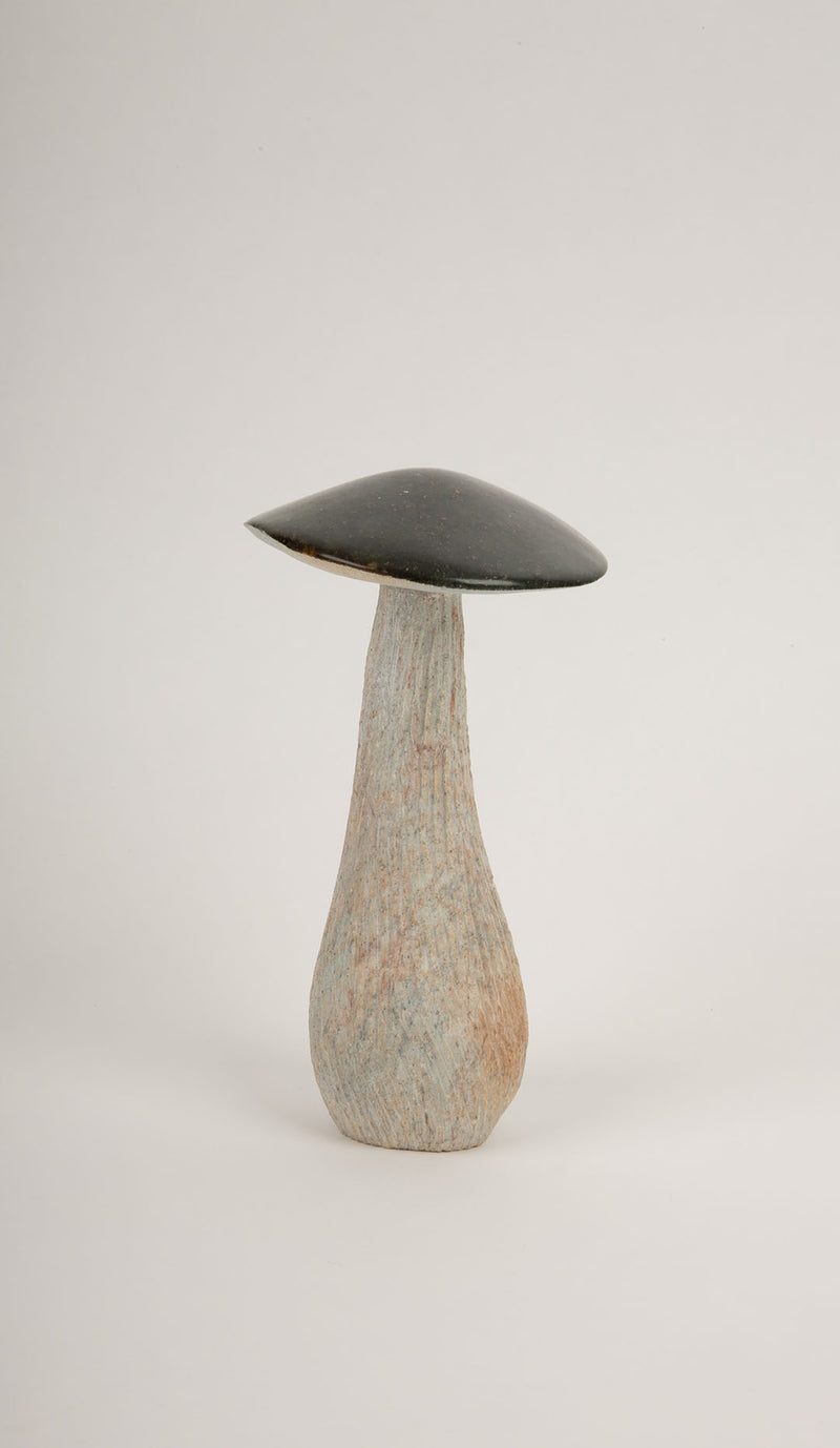 Soap Stone Mushroom