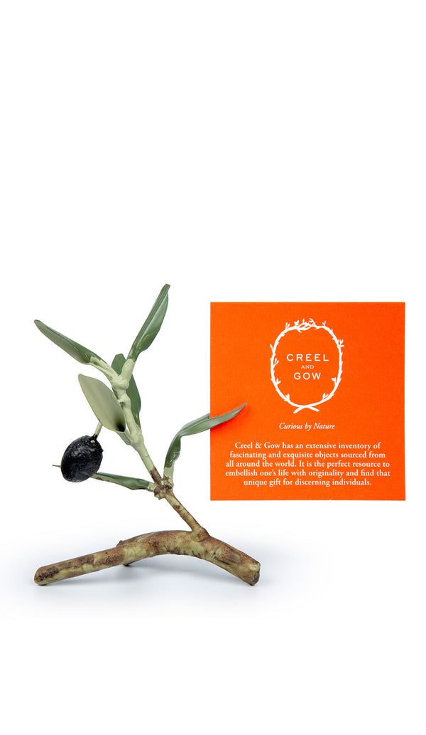 Olive Branch Place Card Holder