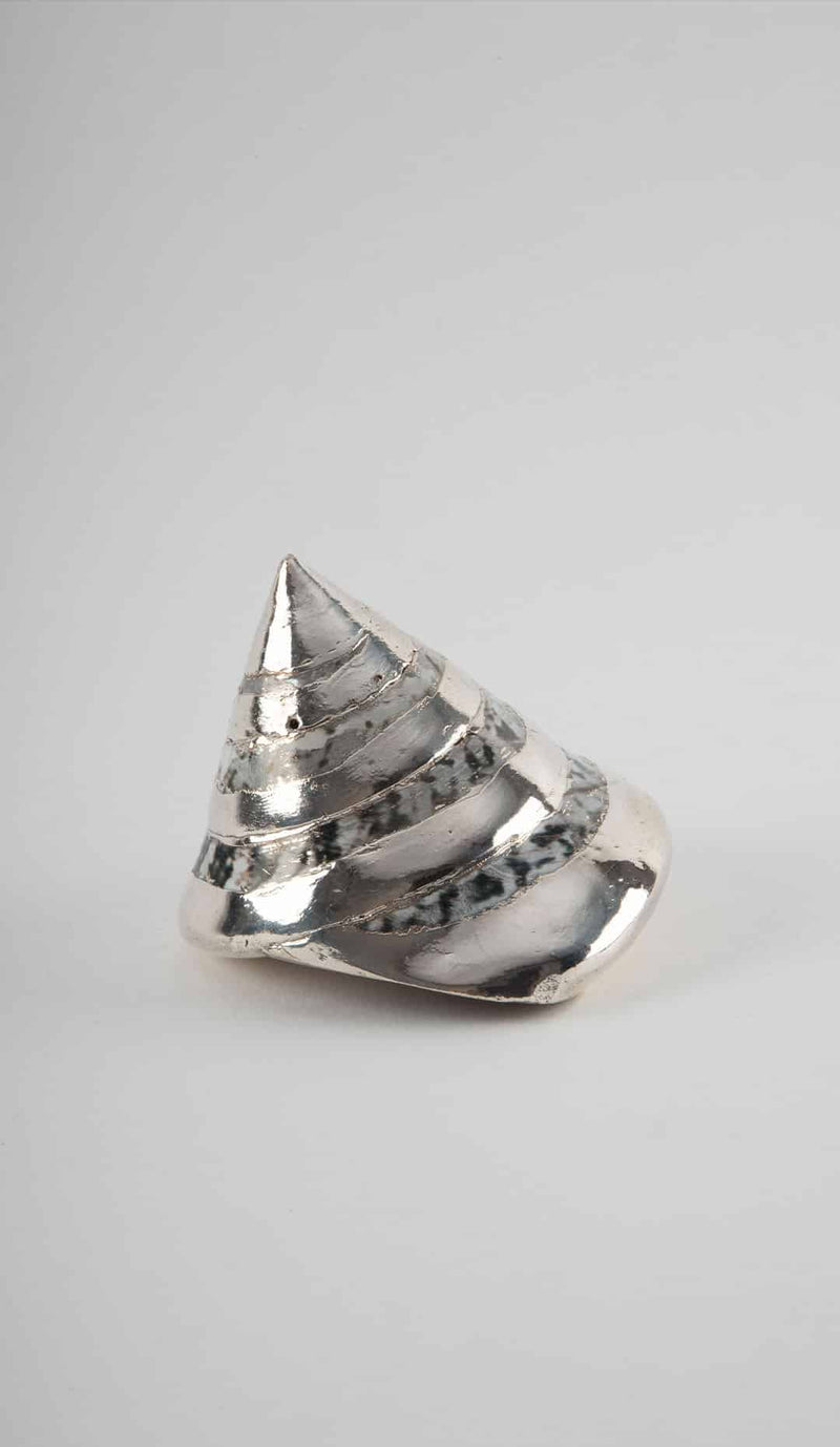 Partially Silvered Trochus Turbo, 3.5"