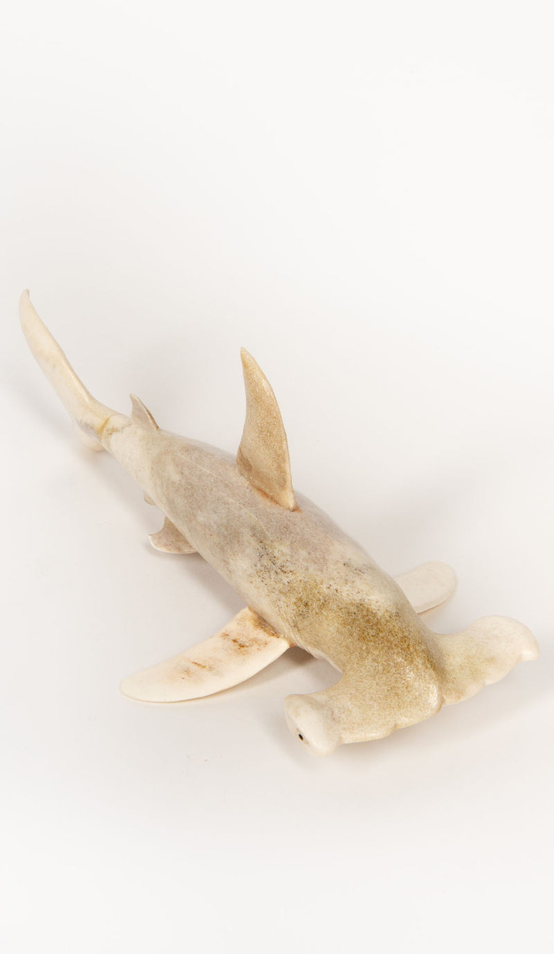 Hammerhead Shark Moose Antler Carving