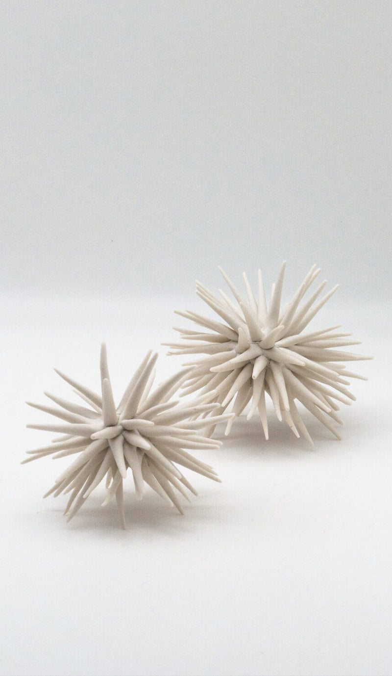 Claire Palastanga Urchin 3½" - 4½"