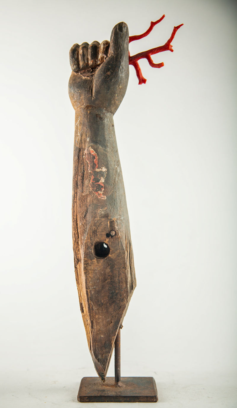 A Handshake With the Sea: A 19th Century Mounted Santos Arm w/Coral