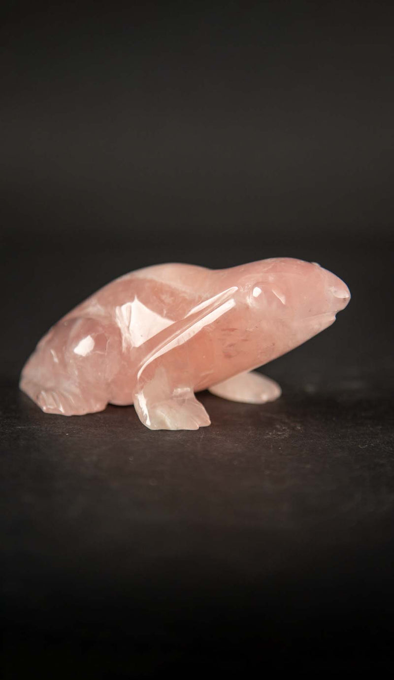 The Prince in Waiting: Carved Rose Quartz Frog