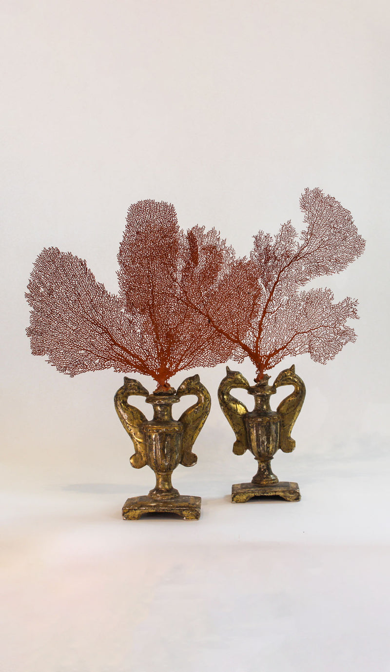 Large Red Sea Fans on 19th-Century Italian Carved Giltwood Bird-Form Urn Bases