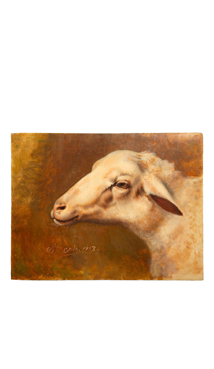 A Gentle Gaze: 19th C French Painting of a Sheeps Head Signed 1868