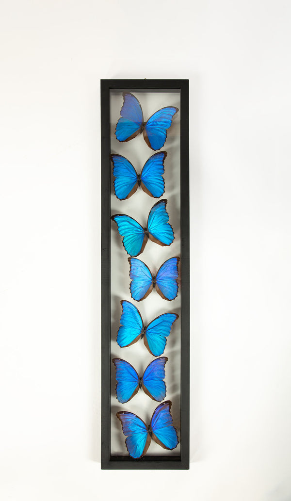 Framed Butterfly Swarm, 36" H