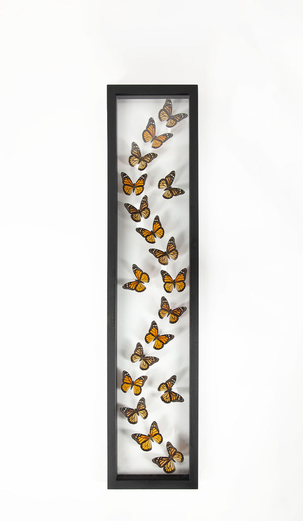 Framed Butterfly Swarm, 36" H