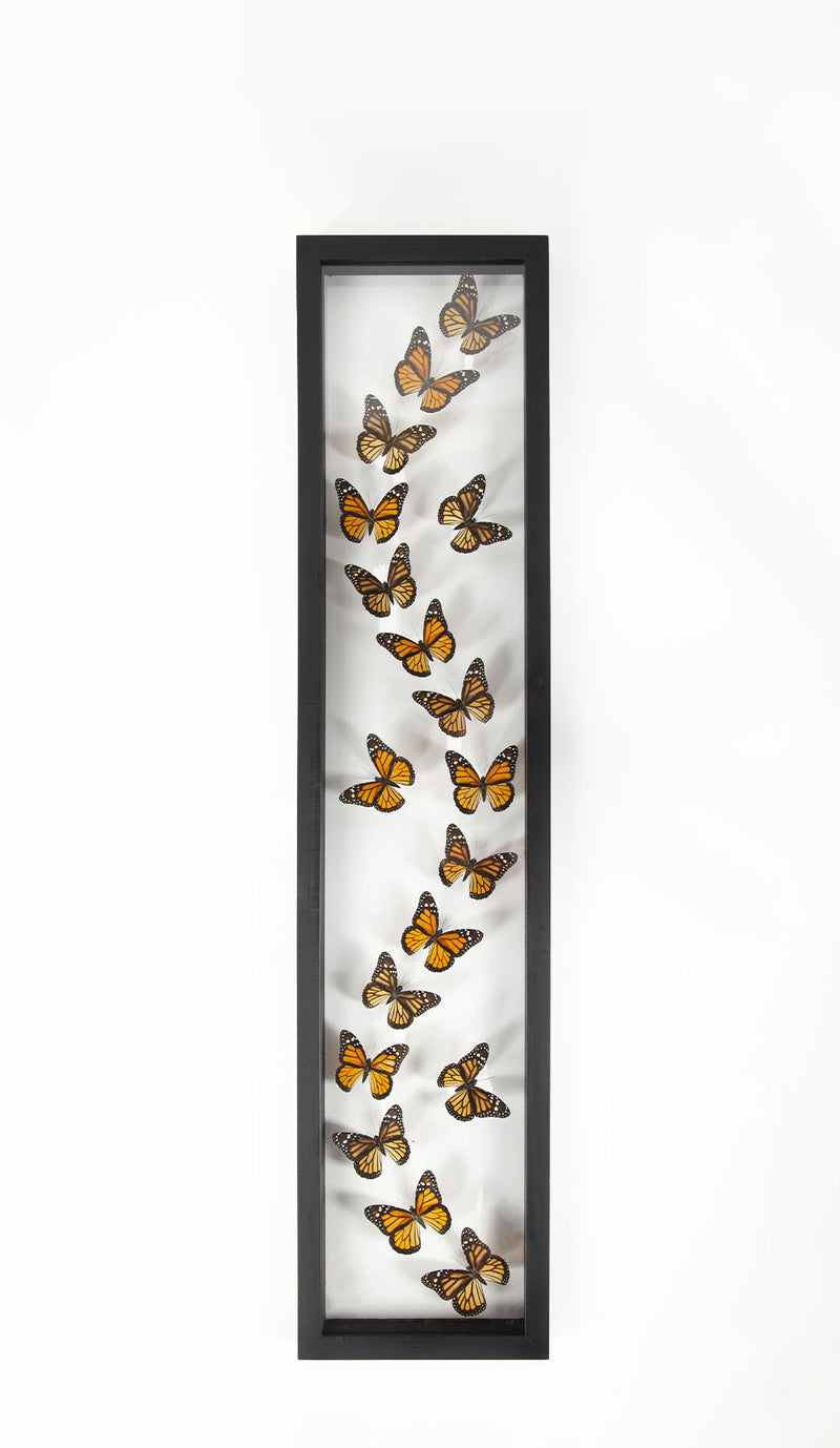 Framed Butterfly Swarm, 36" H